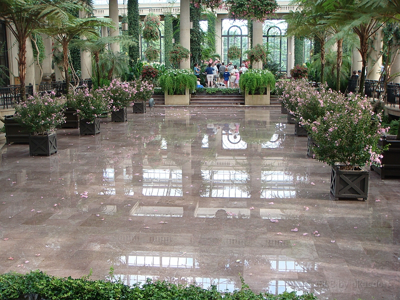 258 Longwood Gardens [2008 August 23].JPG - Longwood Gardens in Pennsylvania